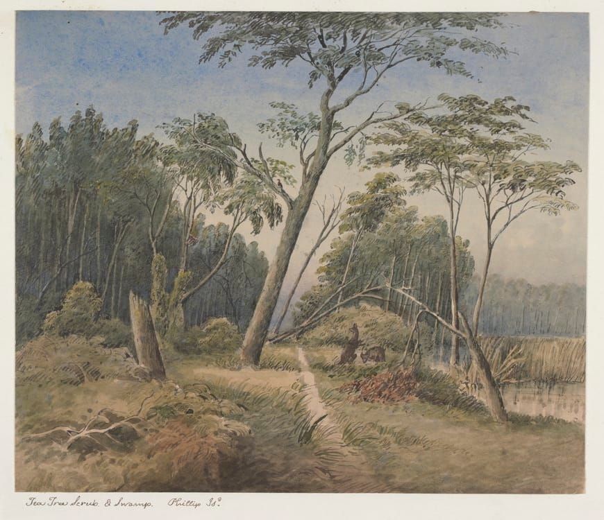Wallabies: Plentiful on island, By Ruth Gooch post image