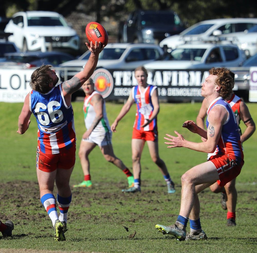 Reserves go down with a fight post image