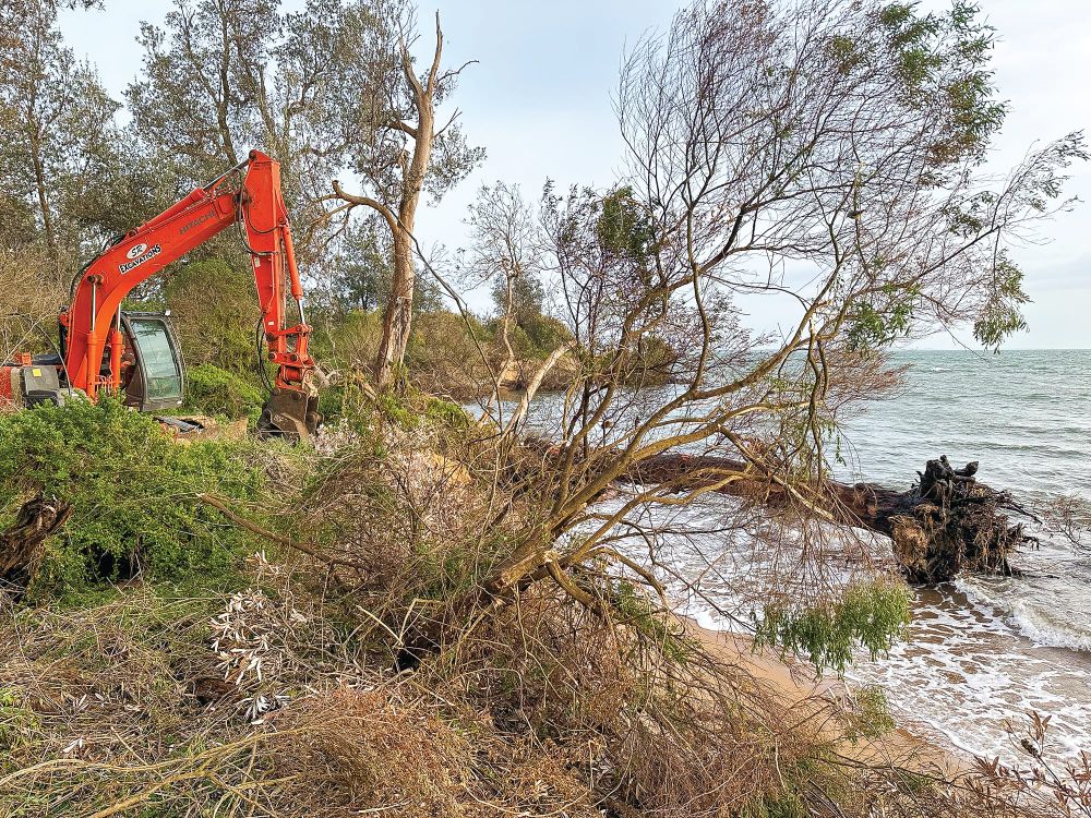 Significant property loss predicted post image
