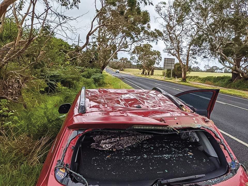 Close call for local family post image