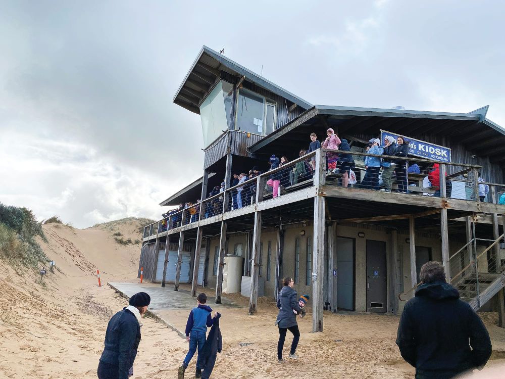 Whales rule! Festival thrives despite inclement weather post image