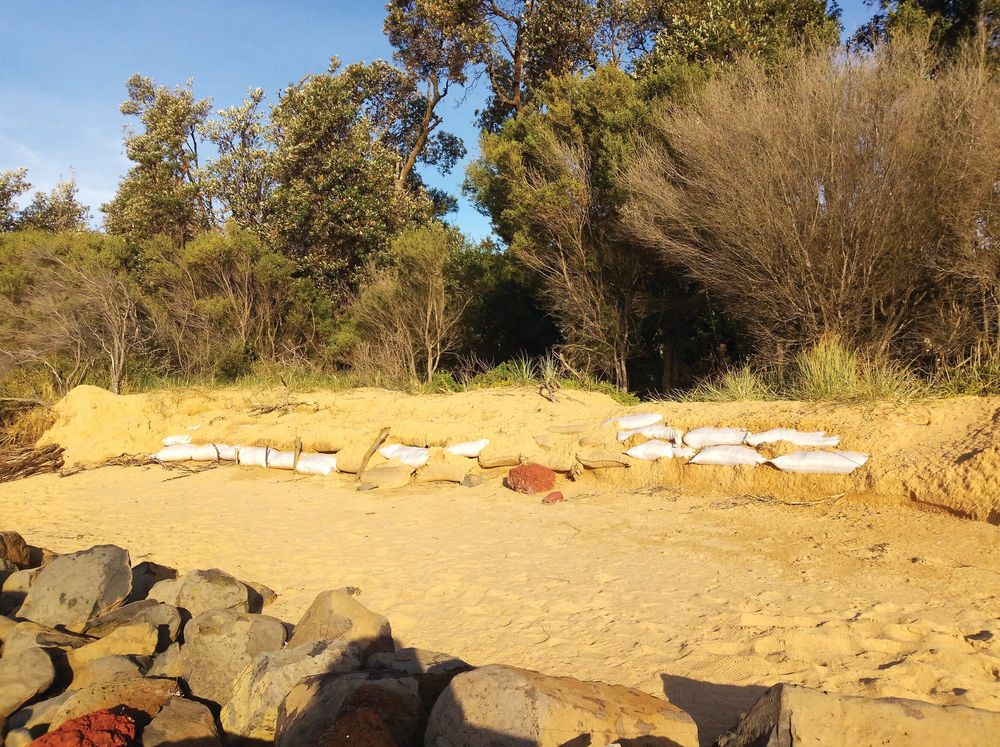 Desperate resident sandbags property post image