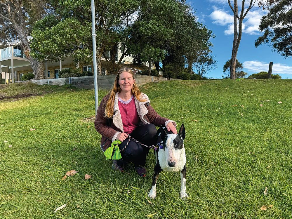 Poisoned carrots: don't take the bait post image