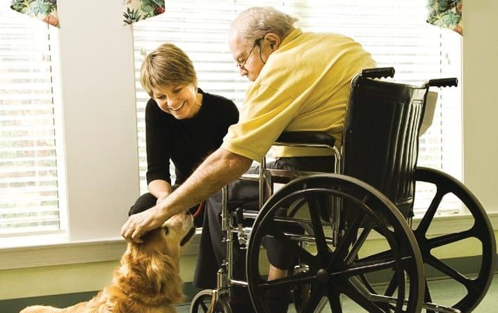 Volunteer visitors needed for MS plus community visitors scheme post image