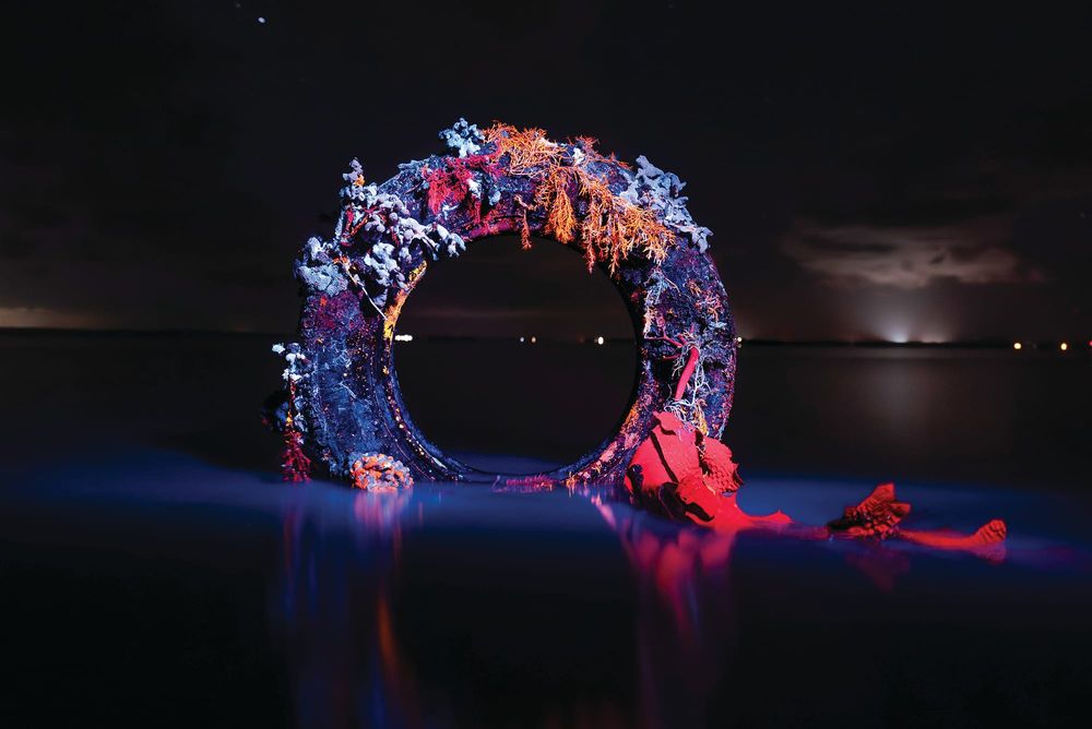 Happy birthday Berninneit post image