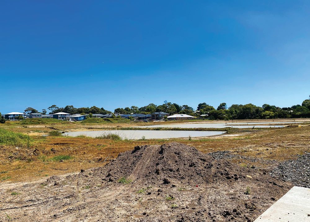Painfully slow progress at Shoalhaven wetland post image