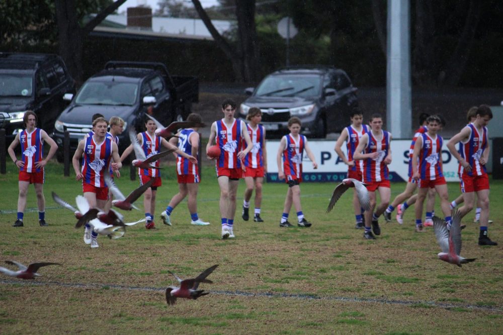 Strong results from Island U16s post image