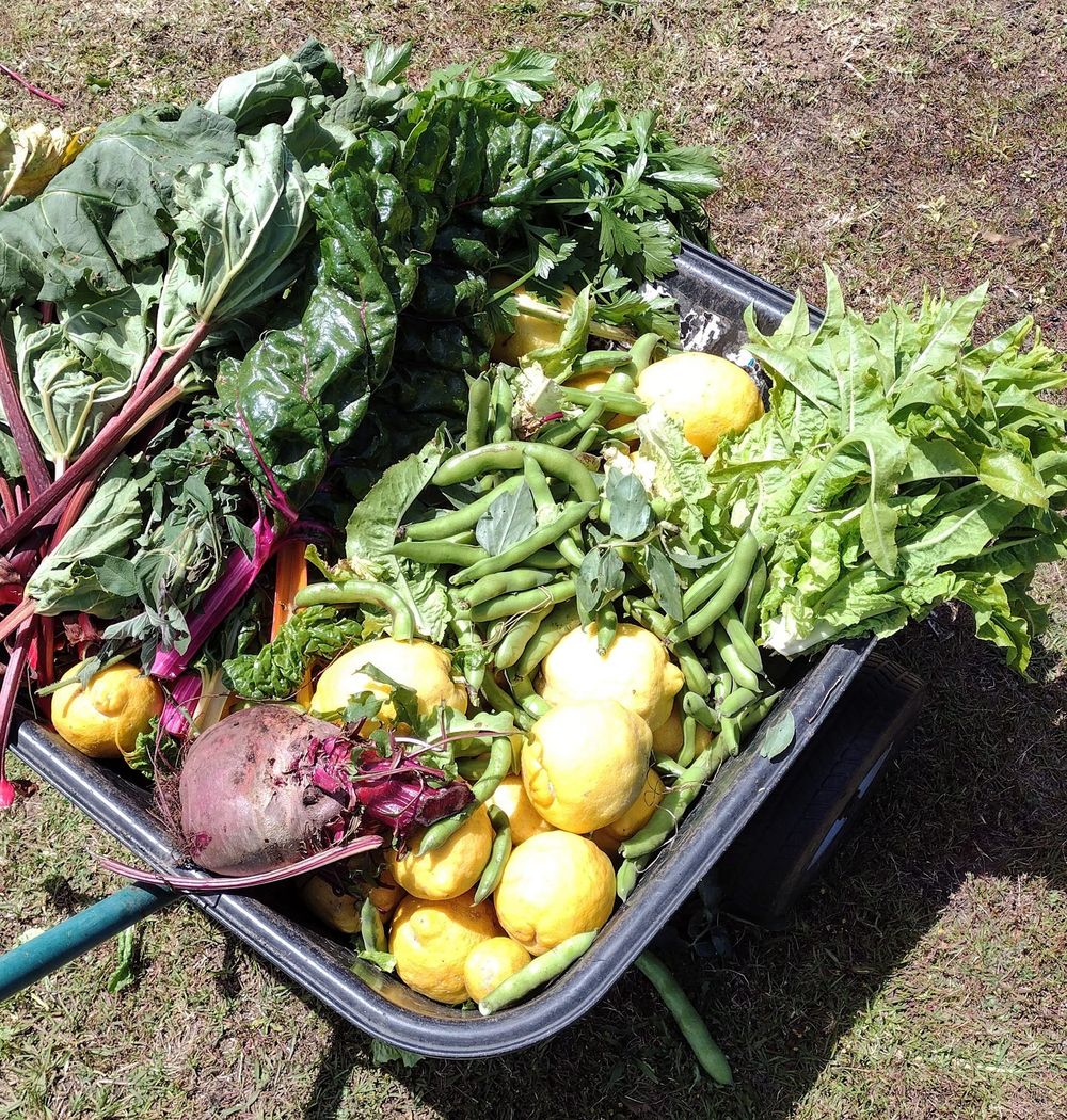 A growing community post image