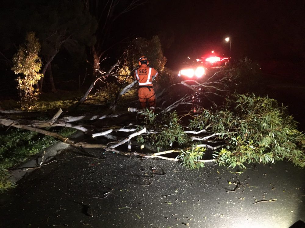Storms keep SES crews busy post image