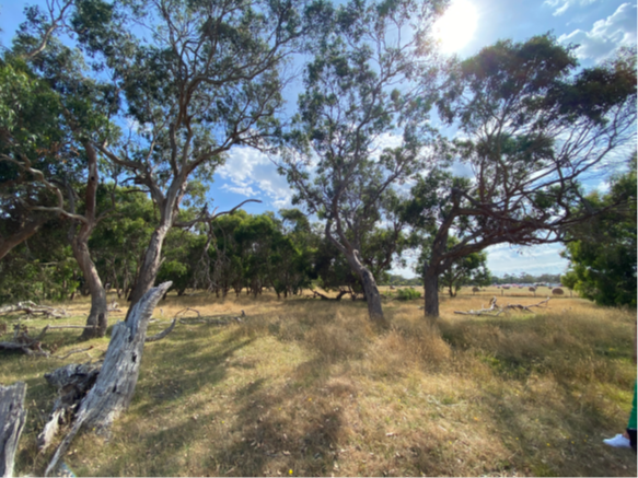 Recreation reserve timeline queried post image