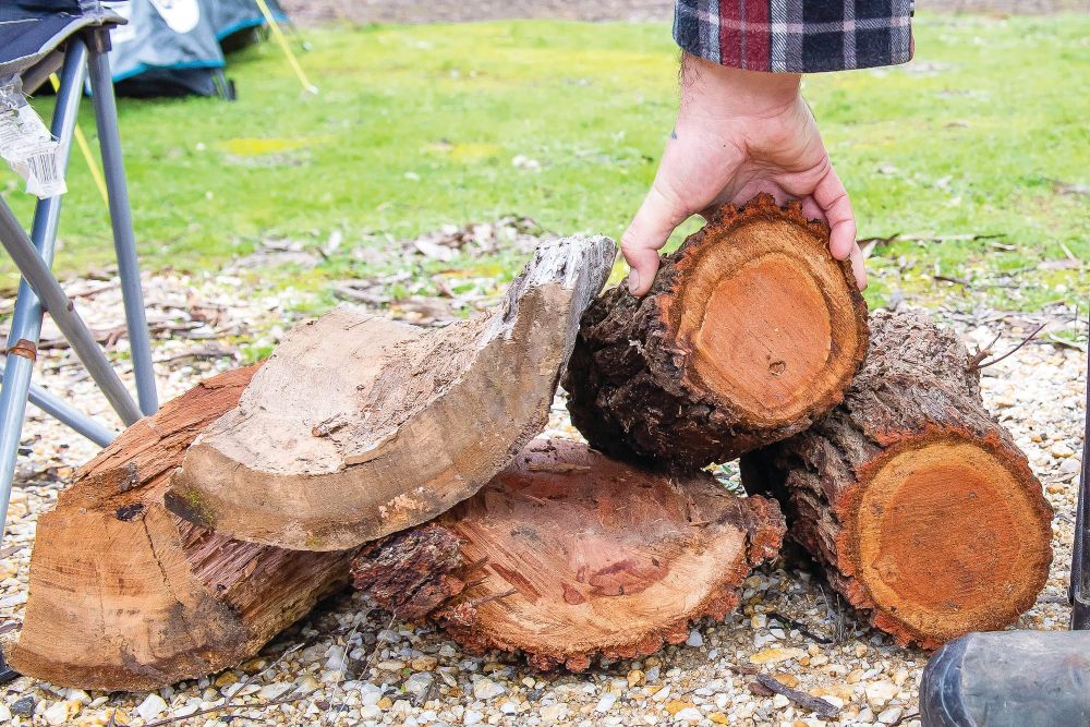 Spring firewood collection season opens in Gippsland post image
