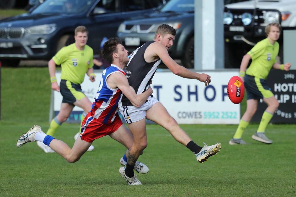 Feathers fly as Bulldogs outclass Magpies - Seniors post image