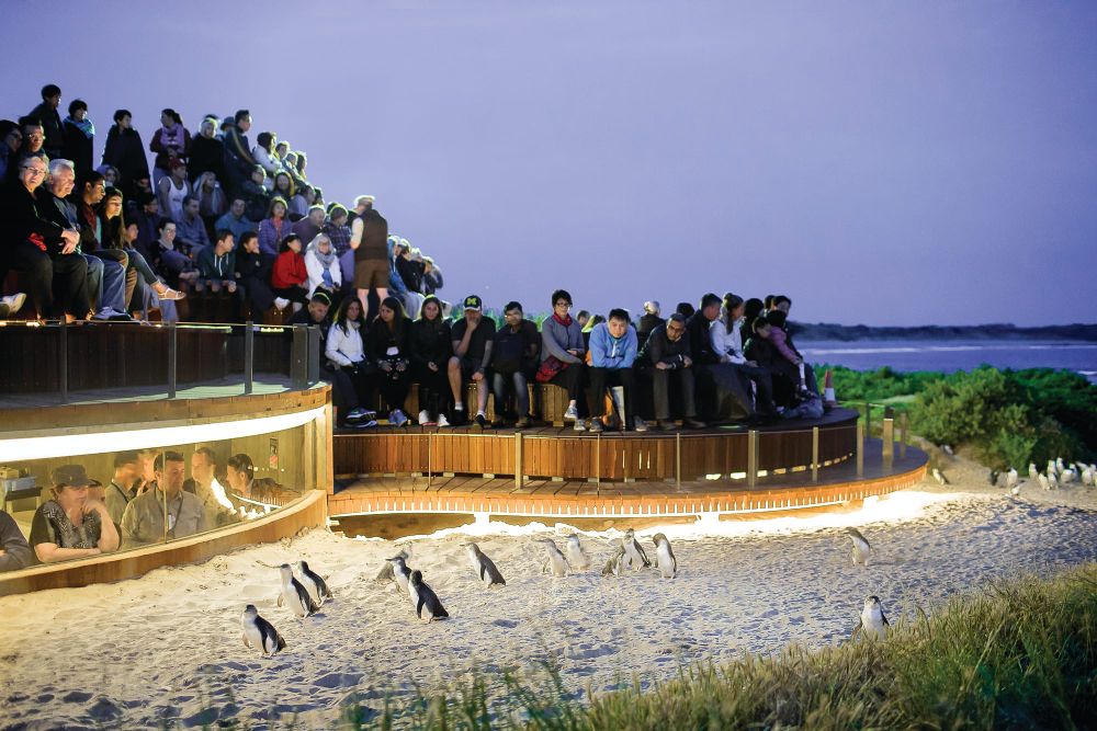 New date for Open Day post image