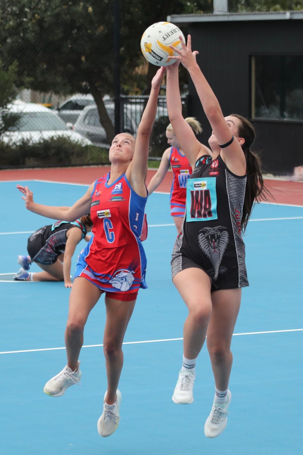 B Grade defeat Cora Lynn post image