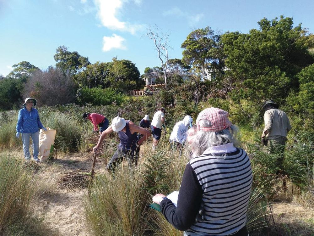 Petition opposes proposed trails post image