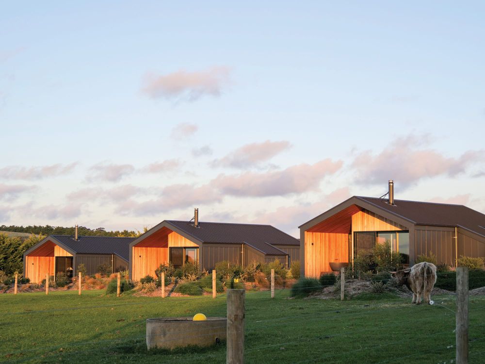 Ventnor neighbour loses VCAT objection post image