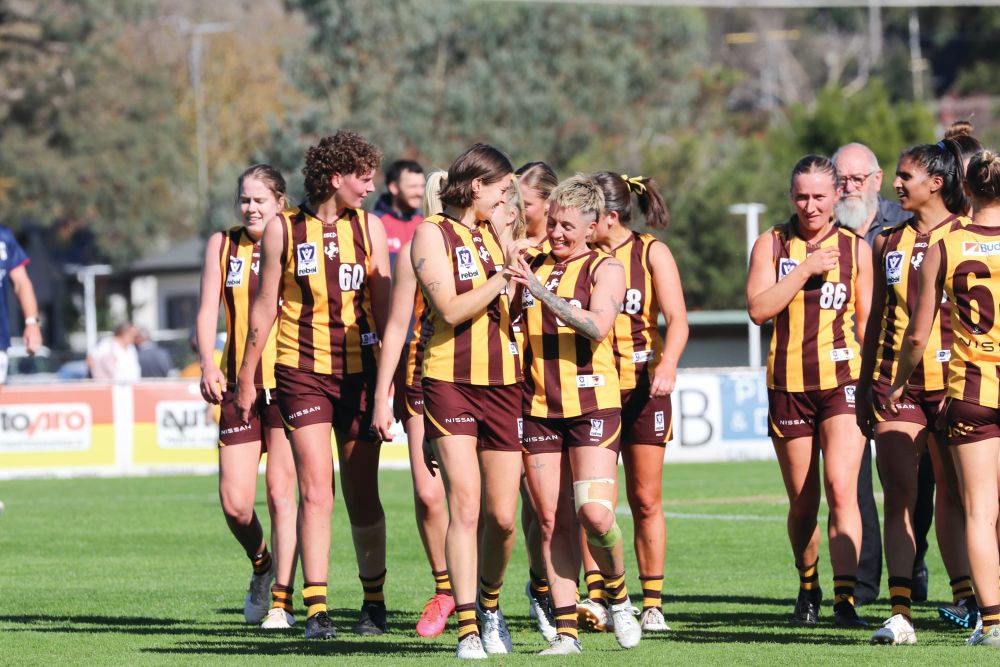Hawks and Demons come to town post image