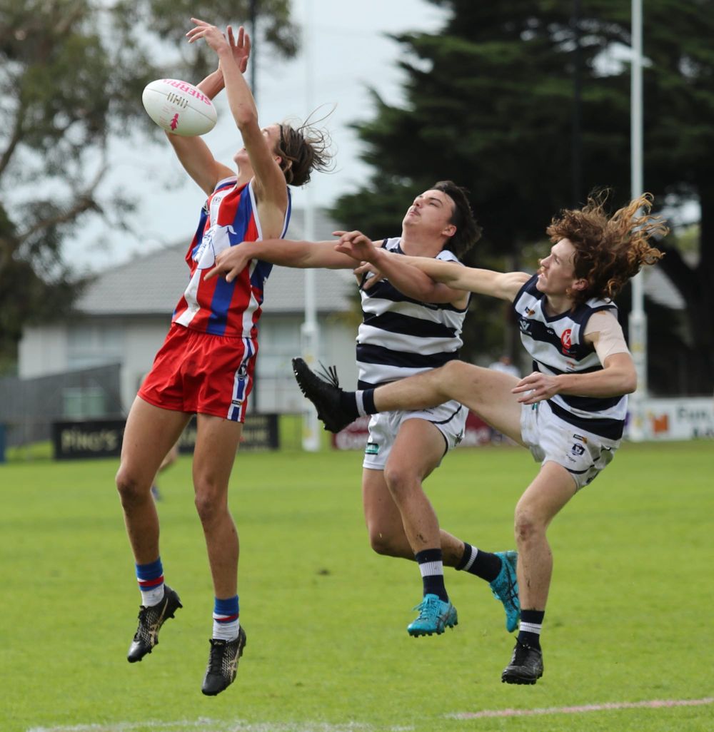Doggies tied up at the Kennel - Under 18s post image