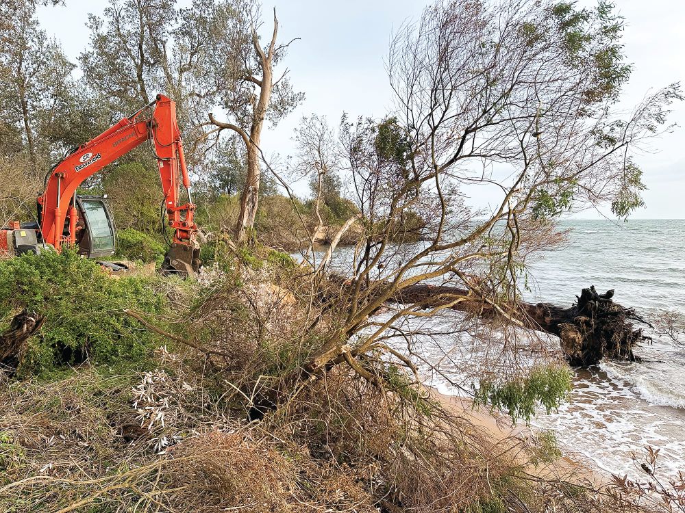 House permit poses "risk to safety, health and life": VCAT post image