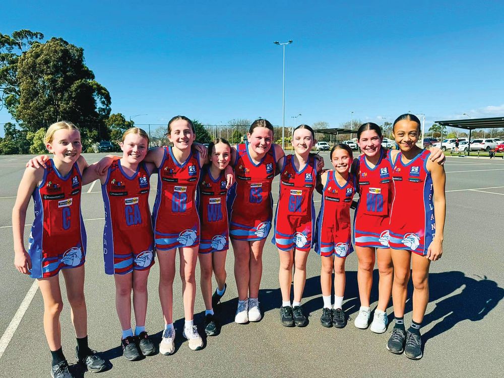 U13 Red make it to the LDNA Grand Final! post image