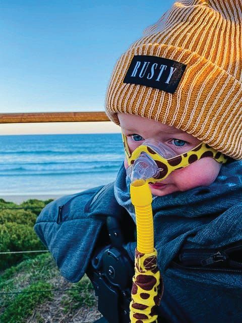 Cruel attack ruins family’s penguin visit post image