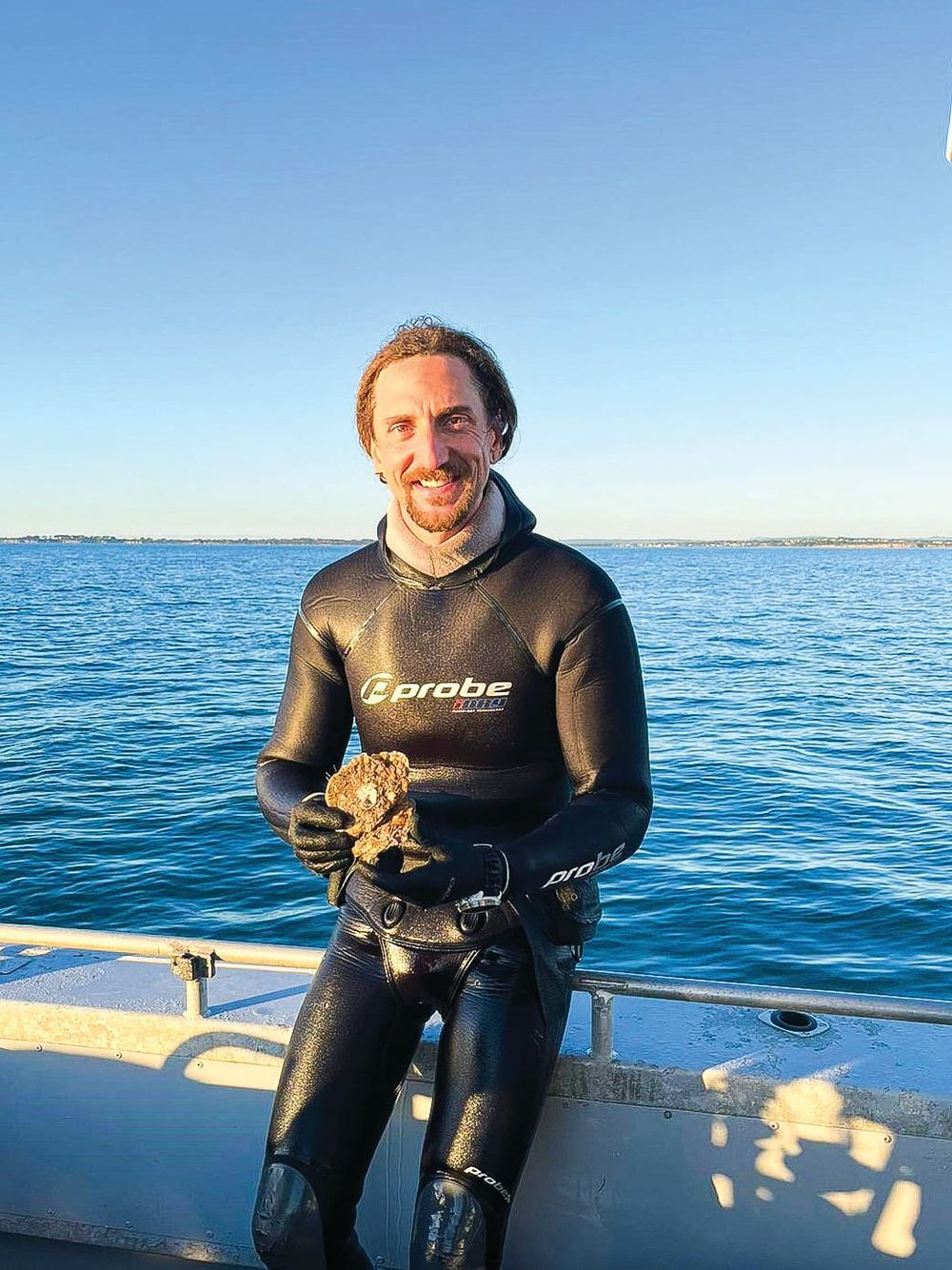 Oysters could return, to help the bay post image