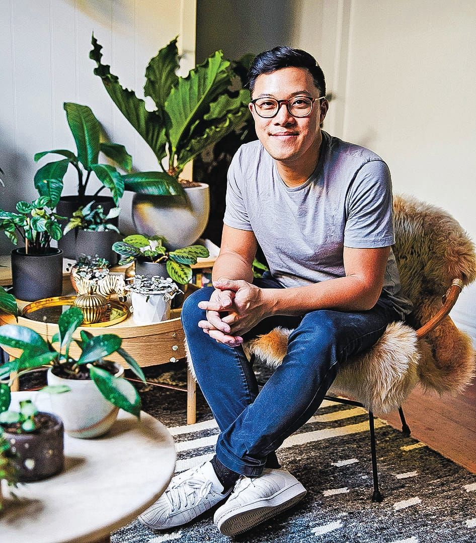 Indoor open gardens post image
