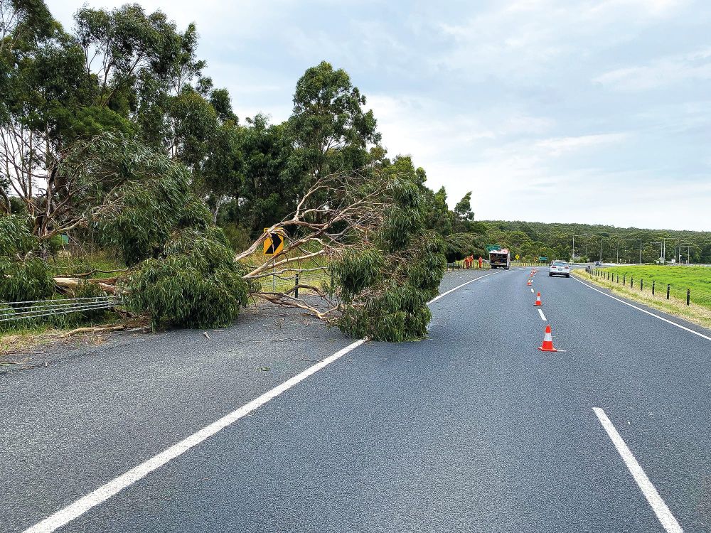Busy weekend for San Remo SES post image