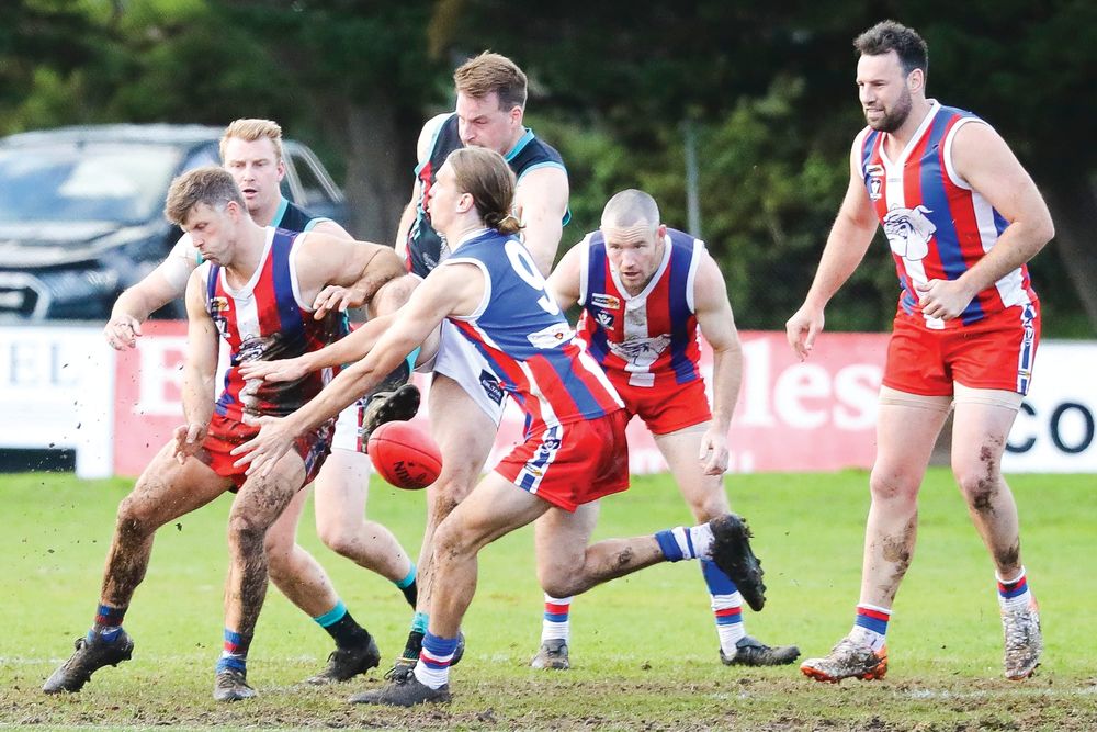 Under U18s - Cobras’ sting no match for Bulldogs’ bite post image