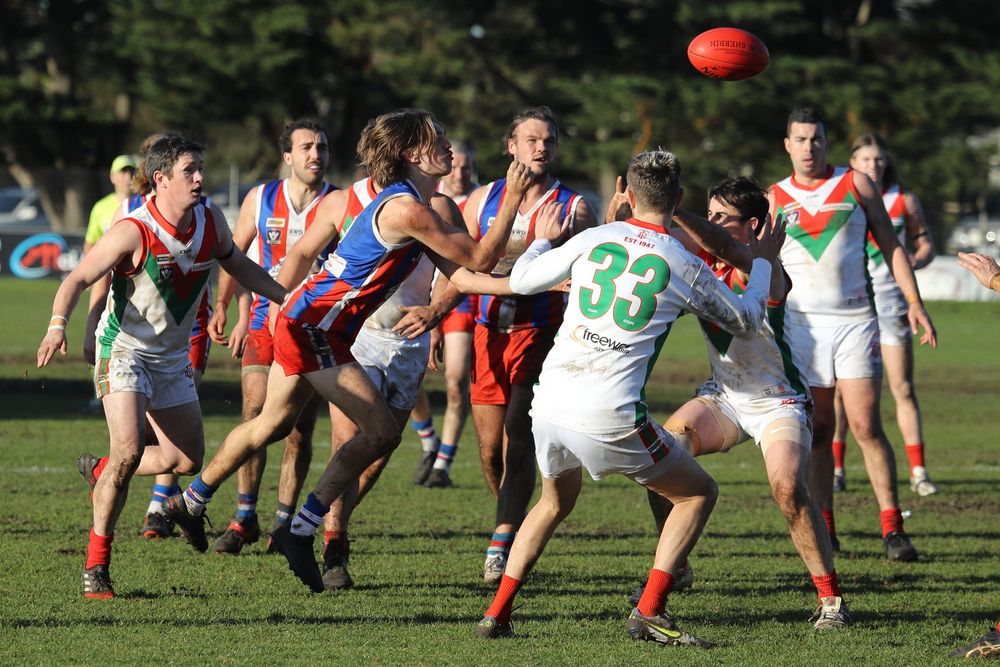 Bulldogs' nets catch Seagulls! post image