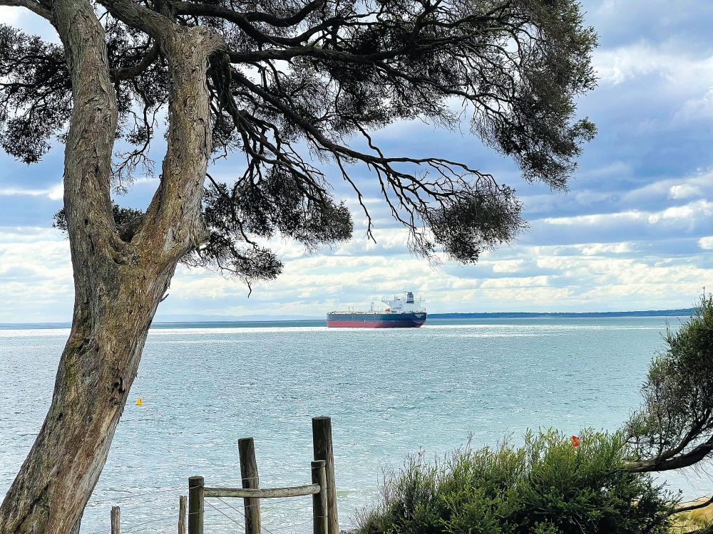 Western Port marked as turbine hub post image