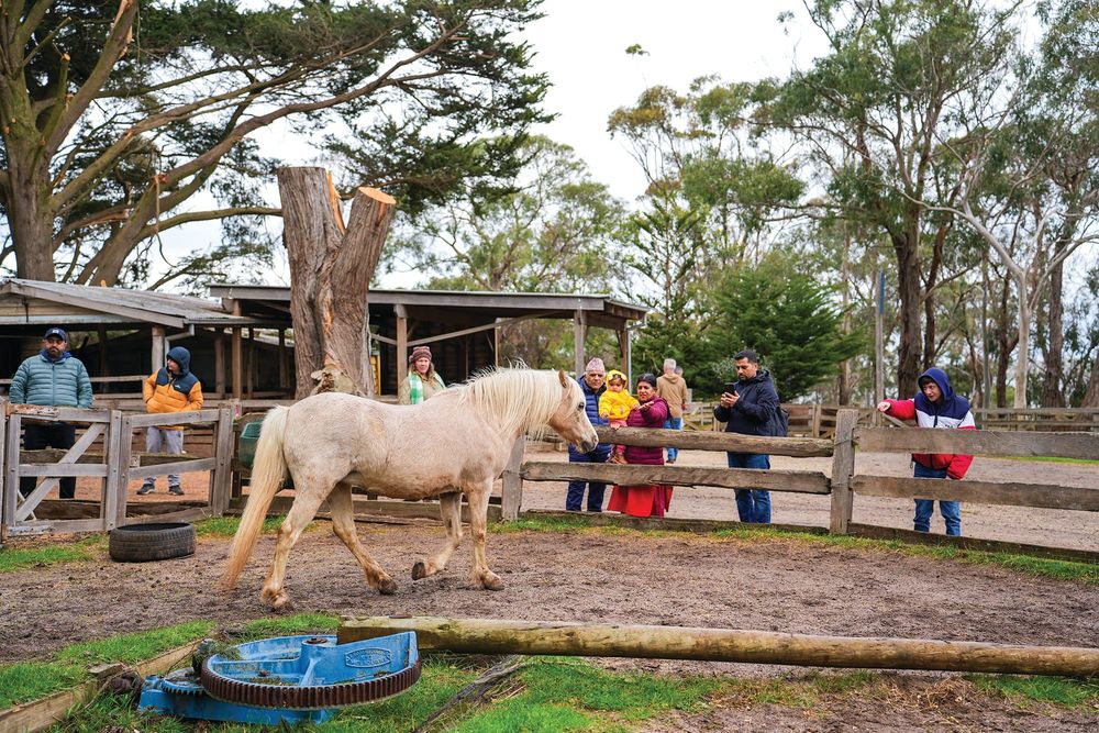Bass Coast community invited to celebrate Phillip Island post image