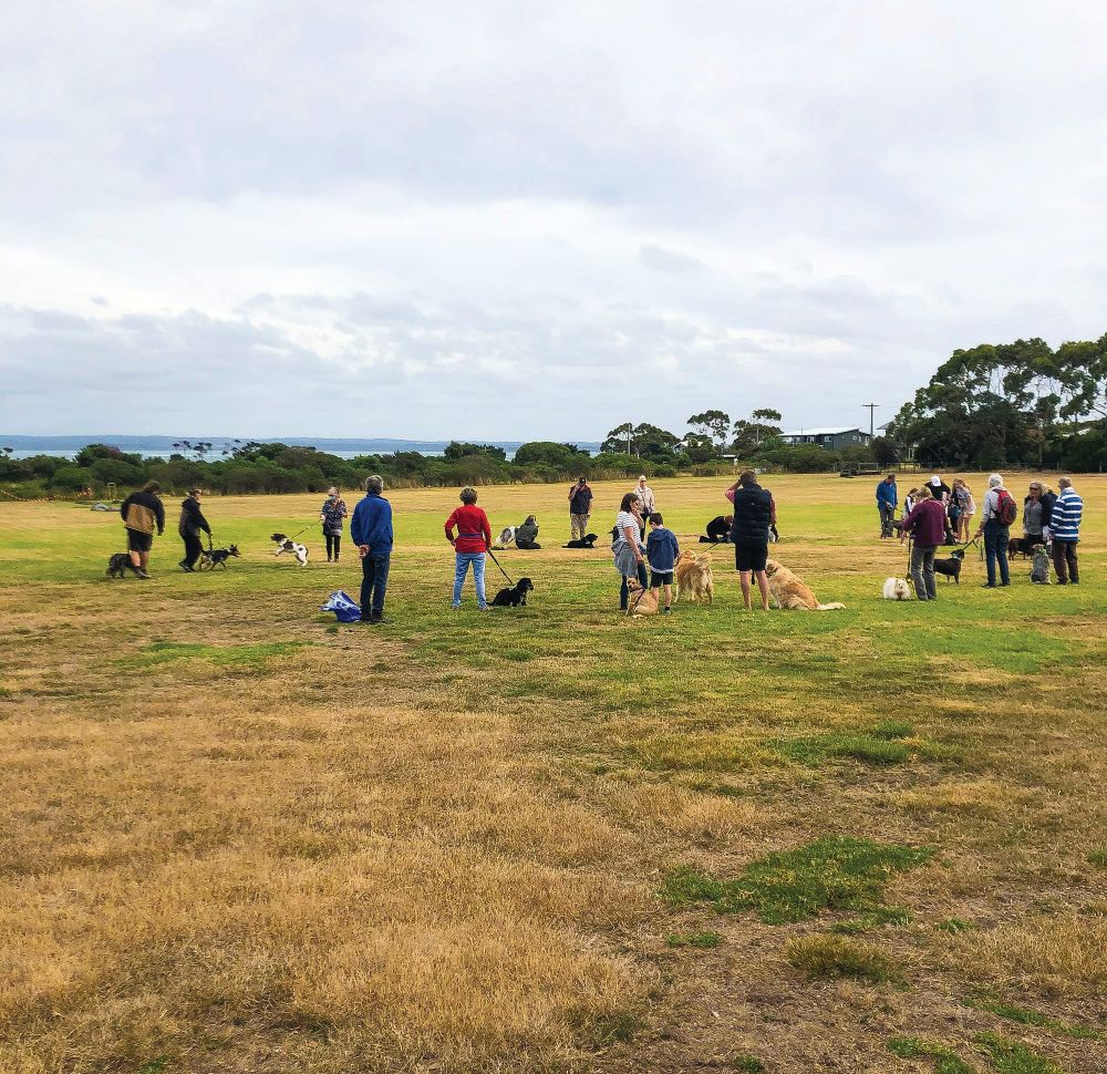 Barks in the park at dog obedience day post image