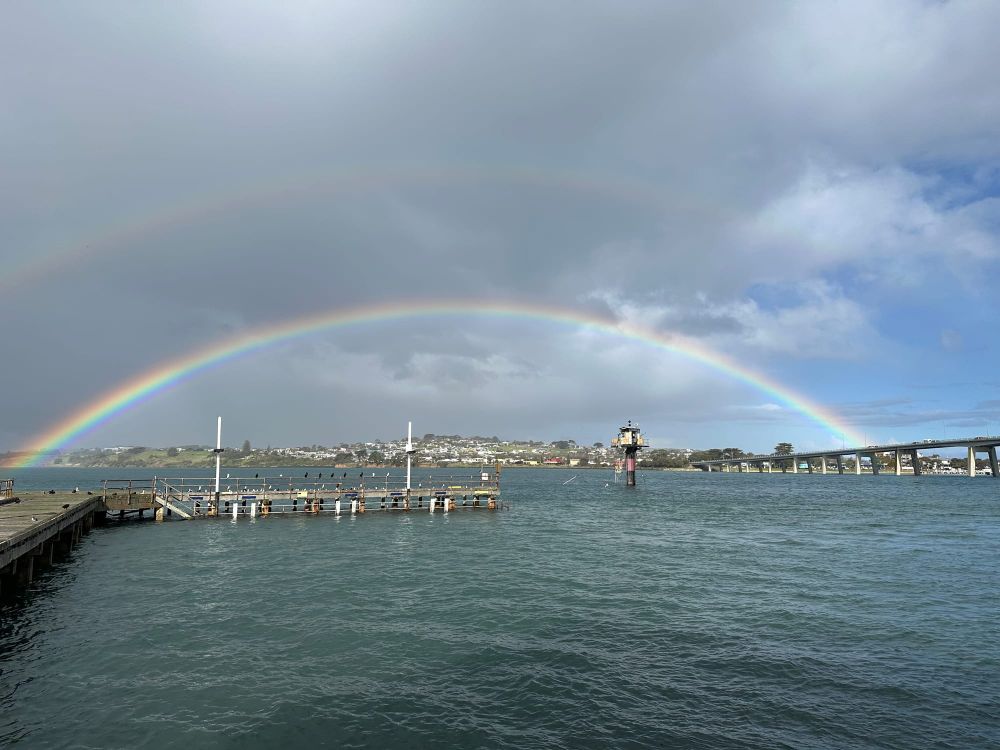 Anyone find the pot of gold? post image