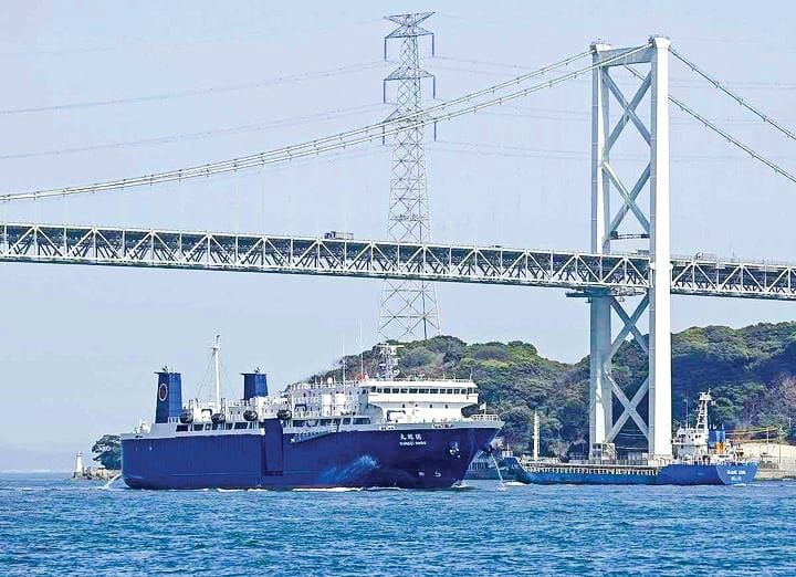 Fight for whales steps up post image