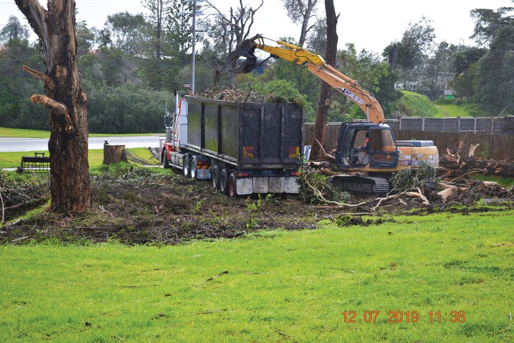 Knock on wood: more trees and more protection post image