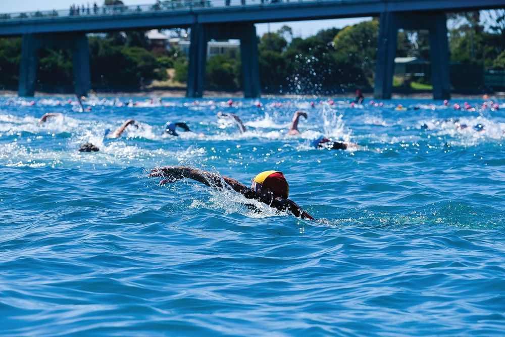 Back in the swim of it! post image