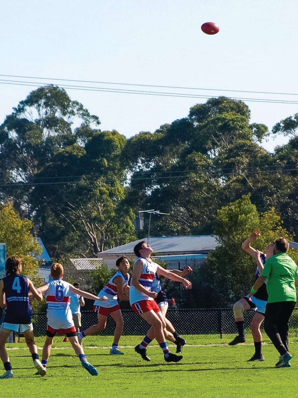 Junior footballers dominate - U14 Red post image