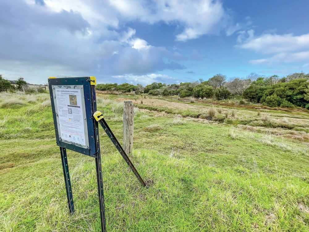 Kitty Miller resort plan set to be scuttled post image