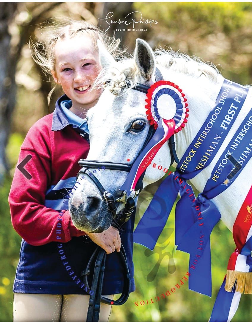 Olivia’s our show jumping champ post image