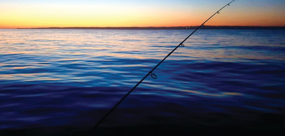 Fishing report post image