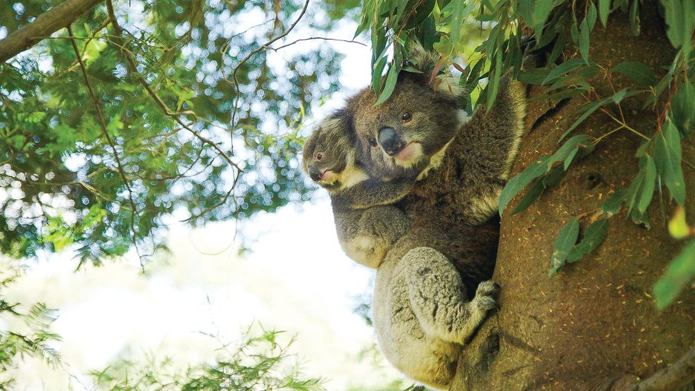 Nature Parks Board update – March 2022 post image