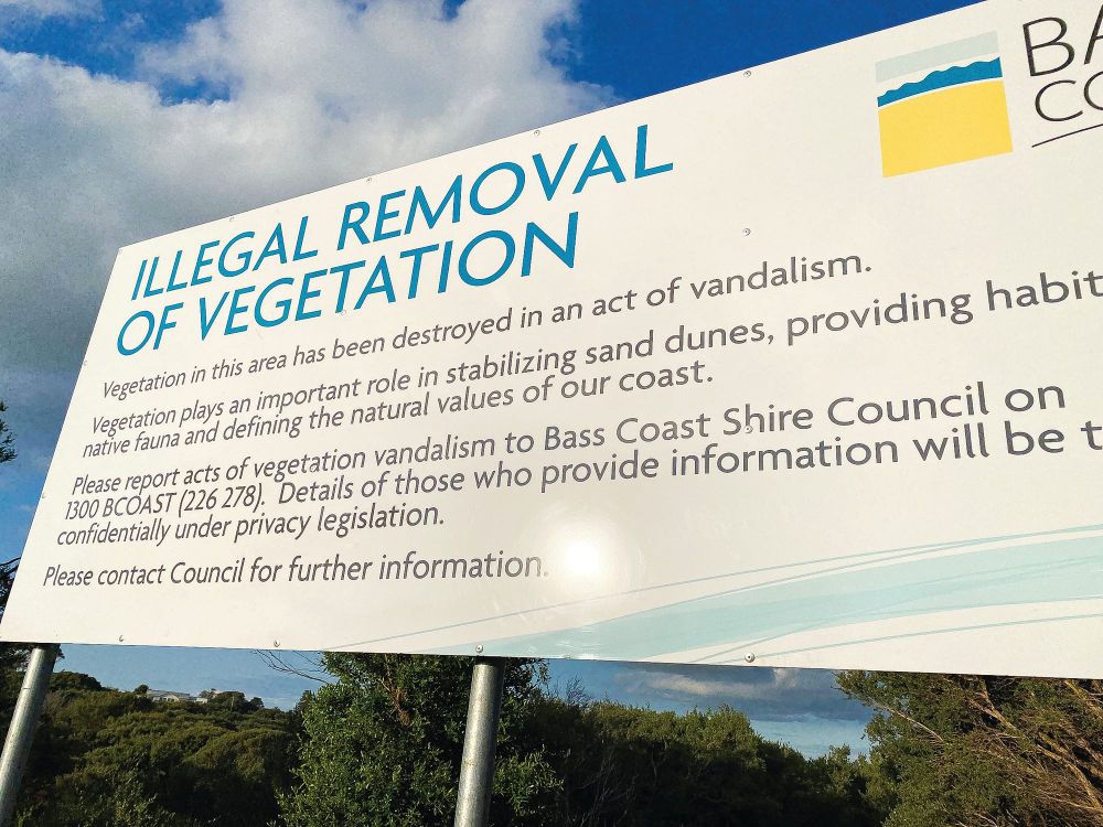 Ventnor illegal tree removal possible prosecution post image