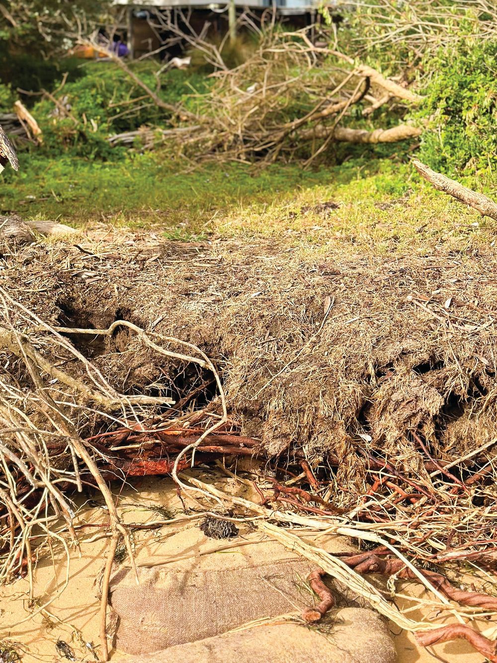 Silverleaves' residents welcome fast-tracked erosion controls post image