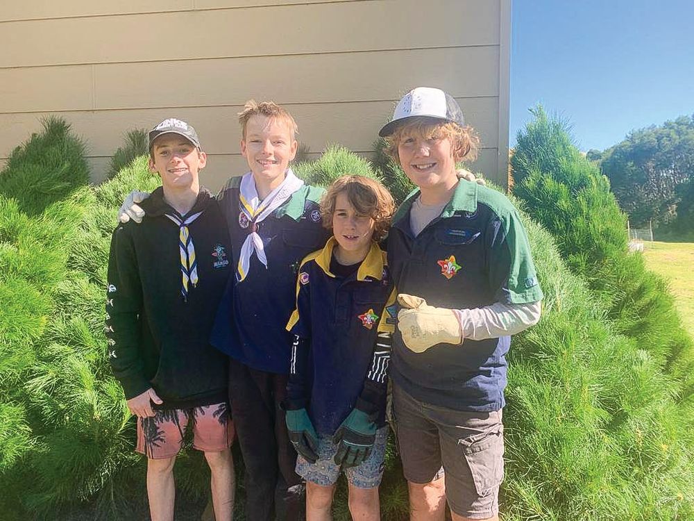 Scouts’ Christmas trees sell out post image