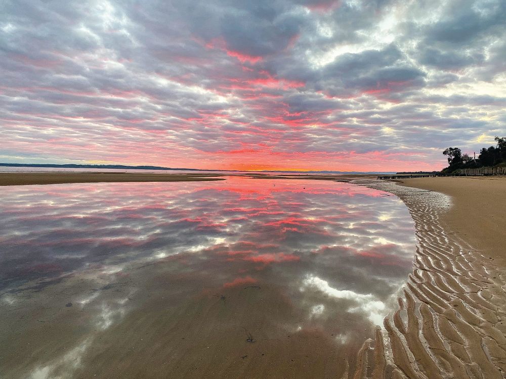 Calling all nature-lovers post image