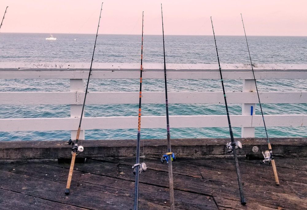 Around the Bay with Jim’s Bait & Tackle post image