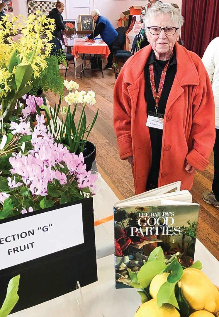 Flower show – what a Vision! post image