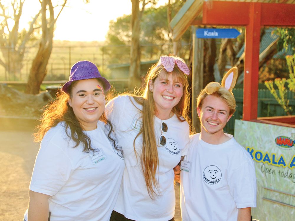 Dreamnight at the zoo post image