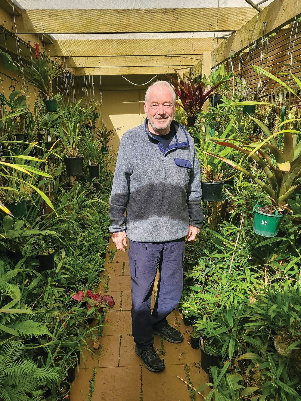 Get your fourth dose, says Graham post image